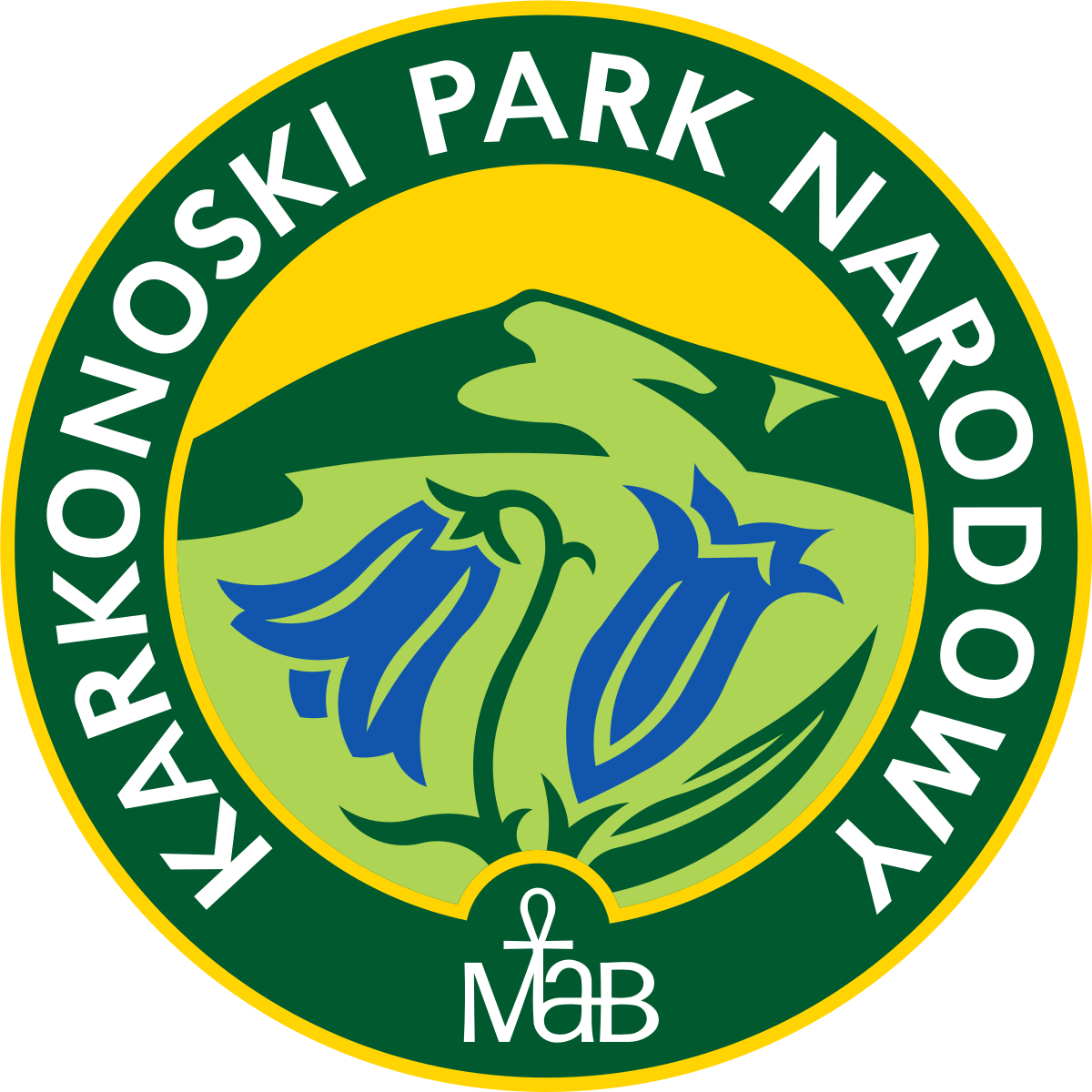 kpn