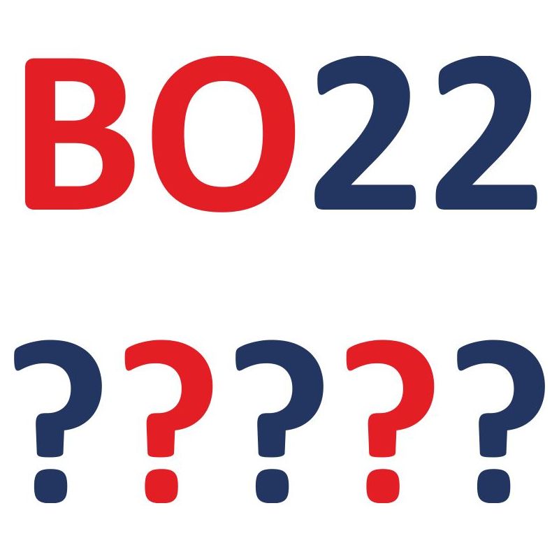 Budżet Obywatelski - prezentacja projektów