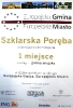 Najlepsza Europejska Gmina, Europejskie Miasto